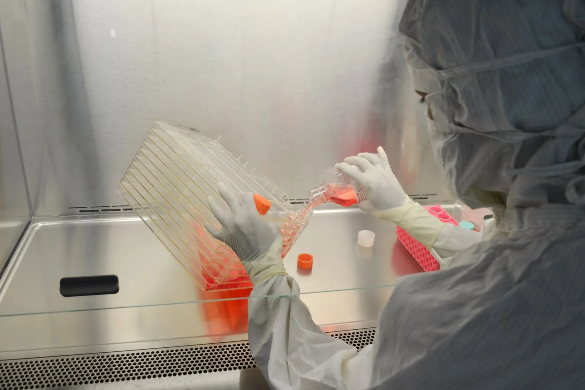 细胞培养板与细胞培养皿选型指南：为苏州生物医药企业提供实用参考