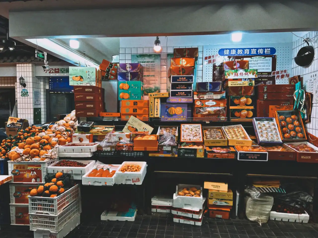 细胞培养板与培养皿选型对比：诺泰科耗材适配不同实验场景