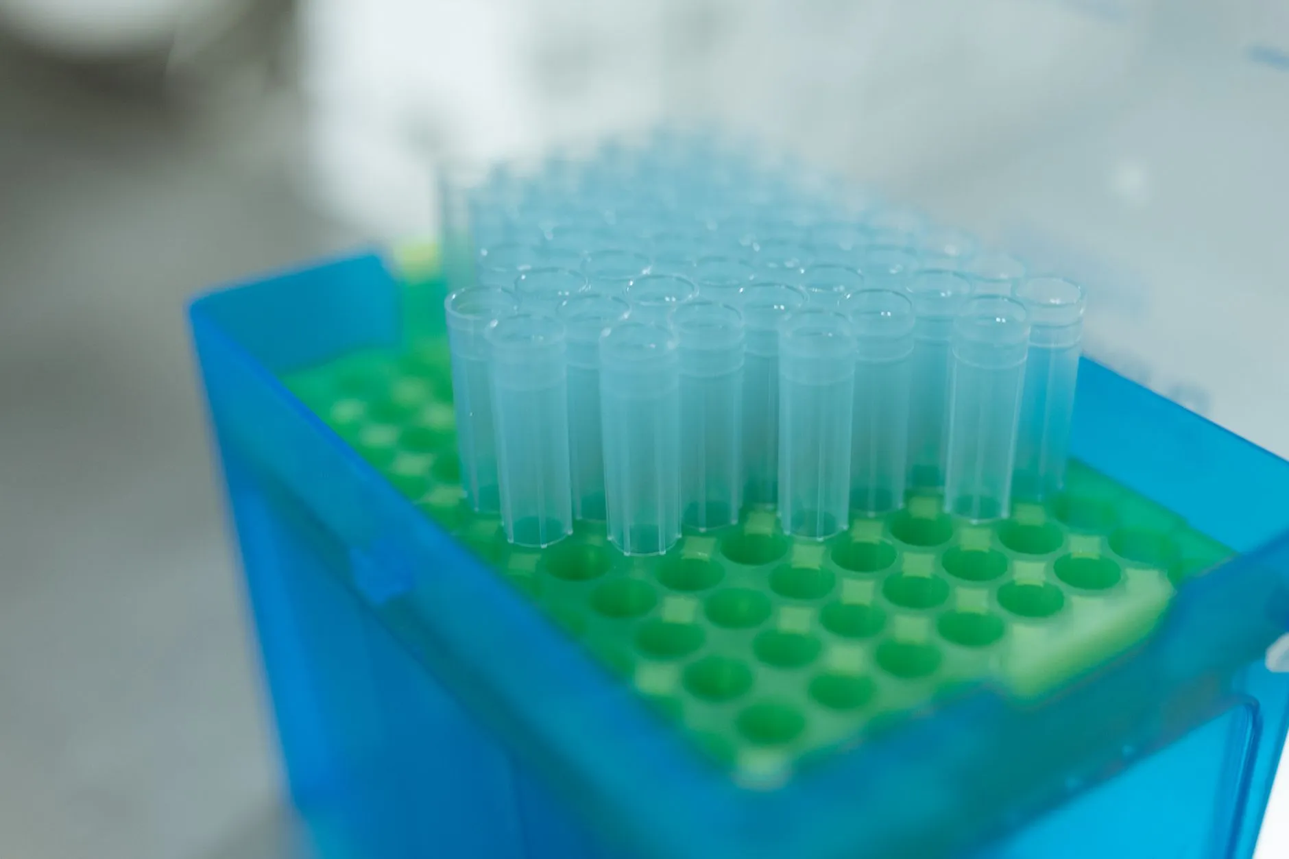 细胞培养板与细胞培养皿的选择要点：为苏州生物医药实验提供稳定支持