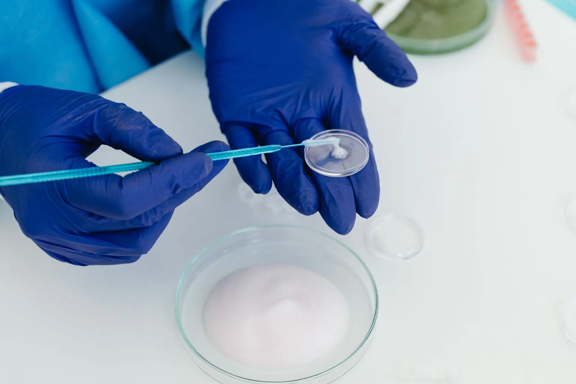 细胞培养板与细胞培养皿的选择要点：为苏州生物医药实验室提供专业建议